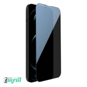 محافظ صفحه نمایش حریم شخصی گرین مدل Silicone-Privacy مناسب برای گوشی موبایل اپل iPhone 12